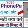 PhonePe Balance Check Unable to Proceed Problem Solve in Hindi